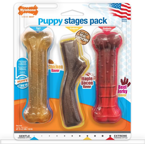 Best nylabone for puppies best sale