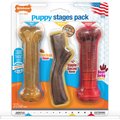 Nylabone Puppy Chew Stages Triple Chew Dog Toy Pack, Brown, Medium, 3 count