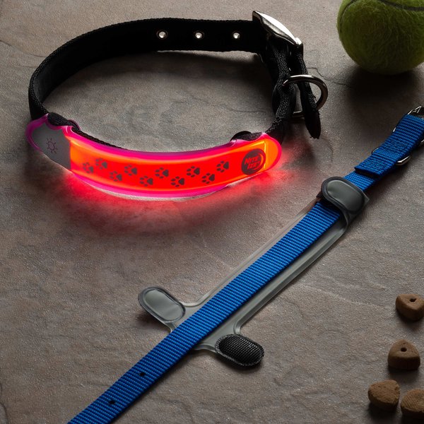 Nite Ize NiteDawg LED Light-Up Dog Collar