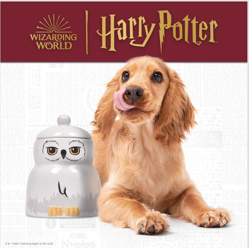Fetch For Pets Harry Potter Hedwig Dog Treat Jar
