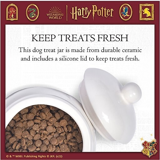 Fetch For Pets Harry Potter Hedwig Dog Treat Jar