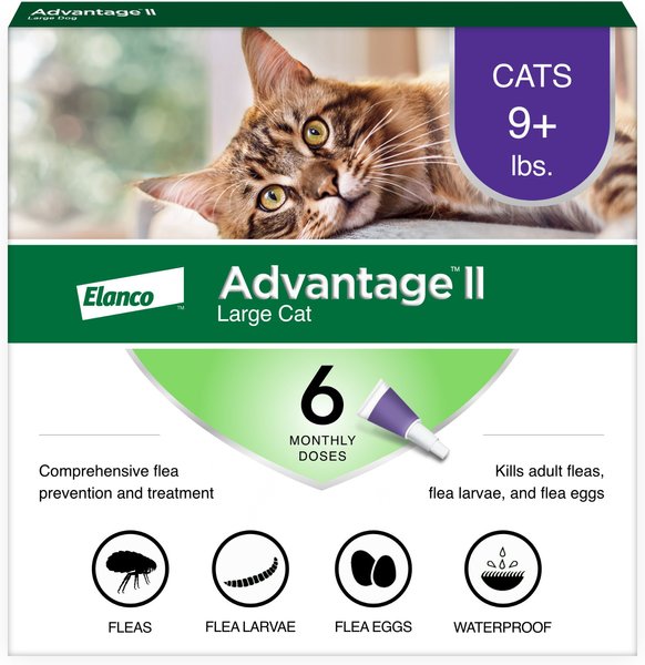 Advantage II Flea Spot Treatment for Cats, over 9 lbs, 6 Doses (6-mos. supply) slide 1 of 12