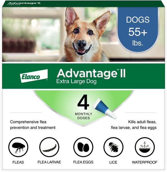 Advantage II Flea Spot Treatment for Dogs, over 55 lbs, 4 Doses (4-mos. supply) slide 1 of 11