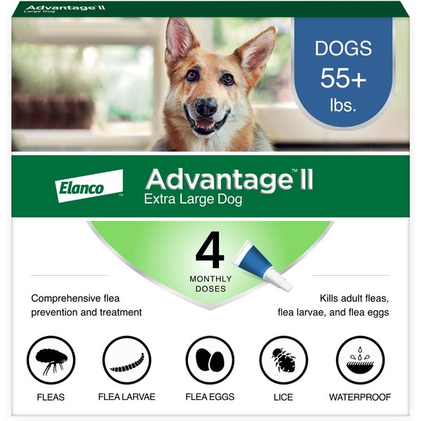 Advantage dog outlet shampoo