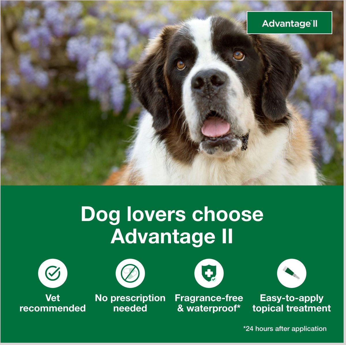 Advantage 2 flea treatment best sale for dogs