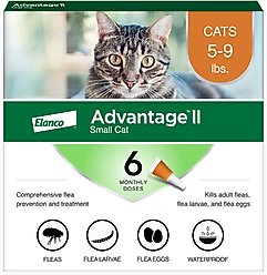 Advantage II Flea Spot Treatment for Cats, 5-9 lbs, & Ferrets, 6 Doses (6-mos. supply)