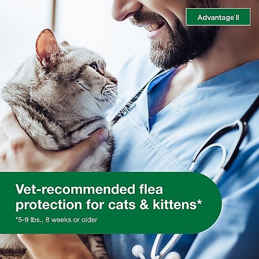 Advantage II Flea Spot Treatment for Cats, 5-9 lbs, & Ferrets, 6 Doses (6-mos. supply)