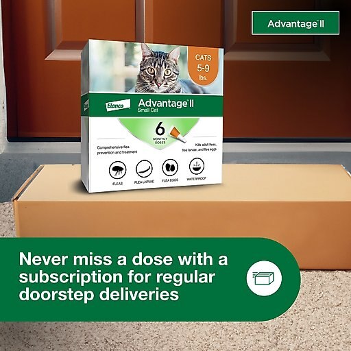 Advantage II Flea Spot Treatment for Cats, 5-9 lbs, & Ferrets, 6 Doses (6-mos. supply)