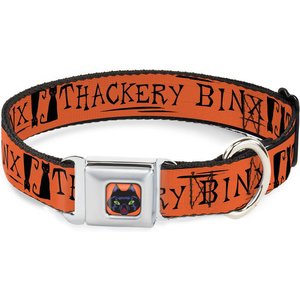 Buckle-Down Seatbelt Buckle Hocus Pocus Thackery Binx Cat Silhouette Dog Collar, Orange & Black, 13-17-in