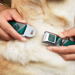 Buckle-Down Seatbelt Buckle Slytherin Crest Diagonal Stripe Dog Collar, Gray & Green, 13-17-in slide 2 of 2
