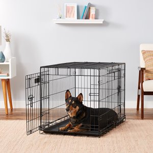 Precision Pet Products Provalu Double Door Collapsible Wire Dog Crate, 36 inch