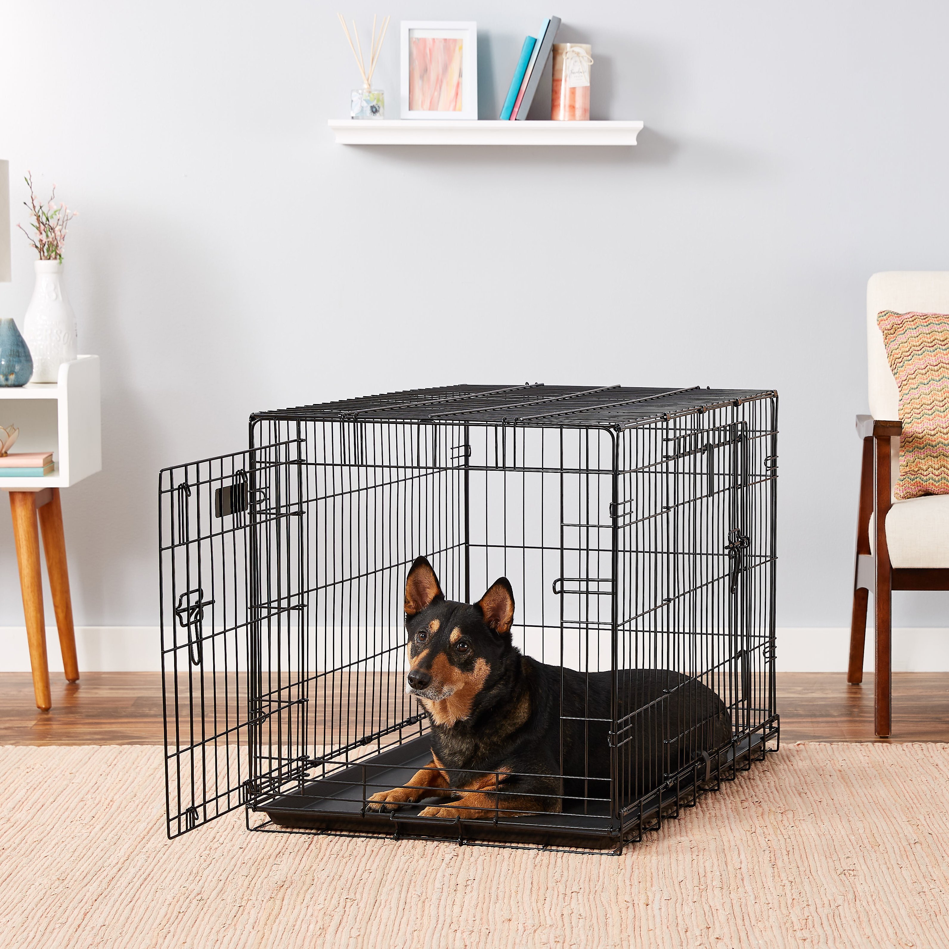 Is the "Precision Pet Products Provalu Double Door Dog Crate