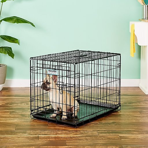 Precision Pet Products Provalu Single Door Collapsible Wire Dog Crate, 30 inch