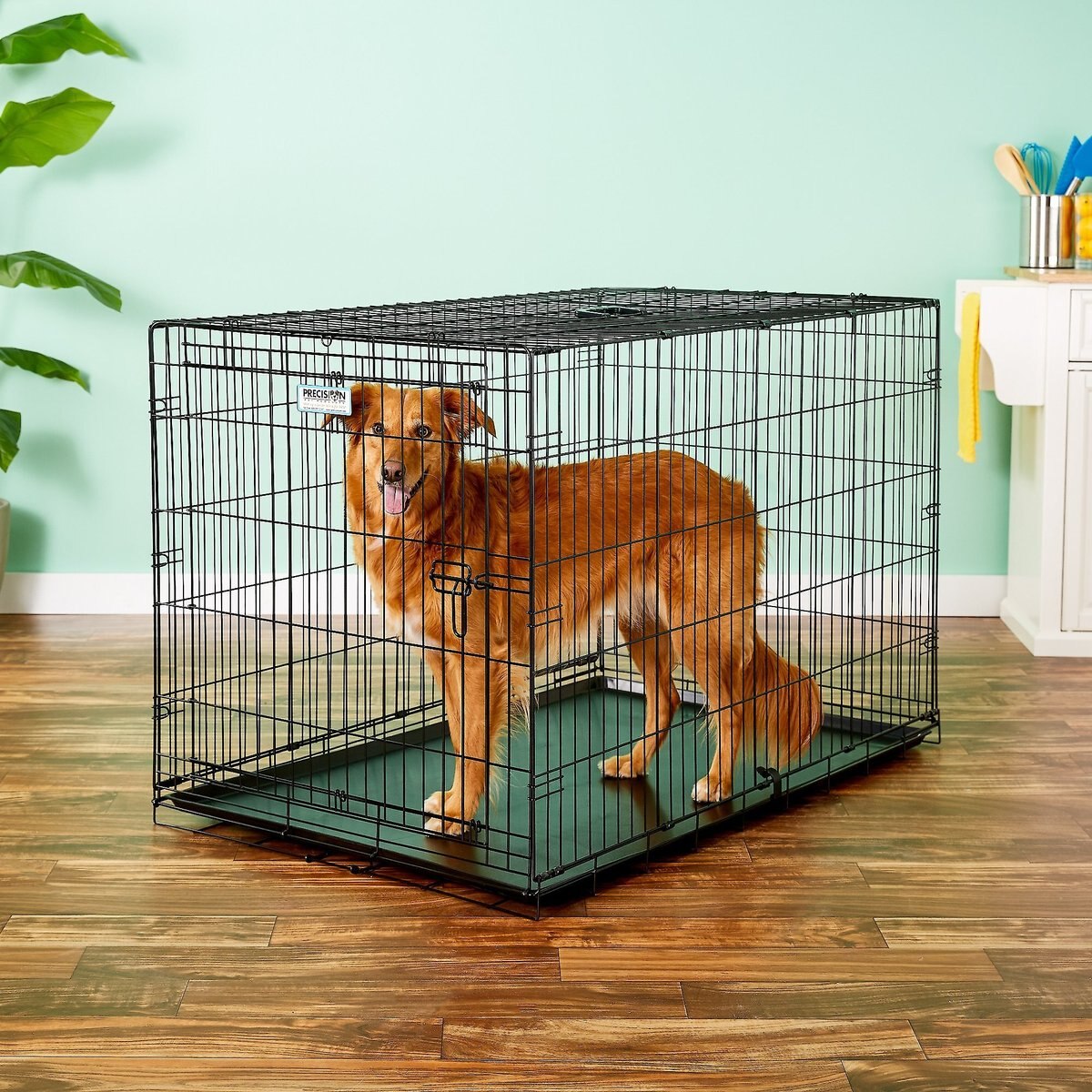 PRECISION PET PRODUCTS Provalu Single Door Collapsible Wire Dog Crate