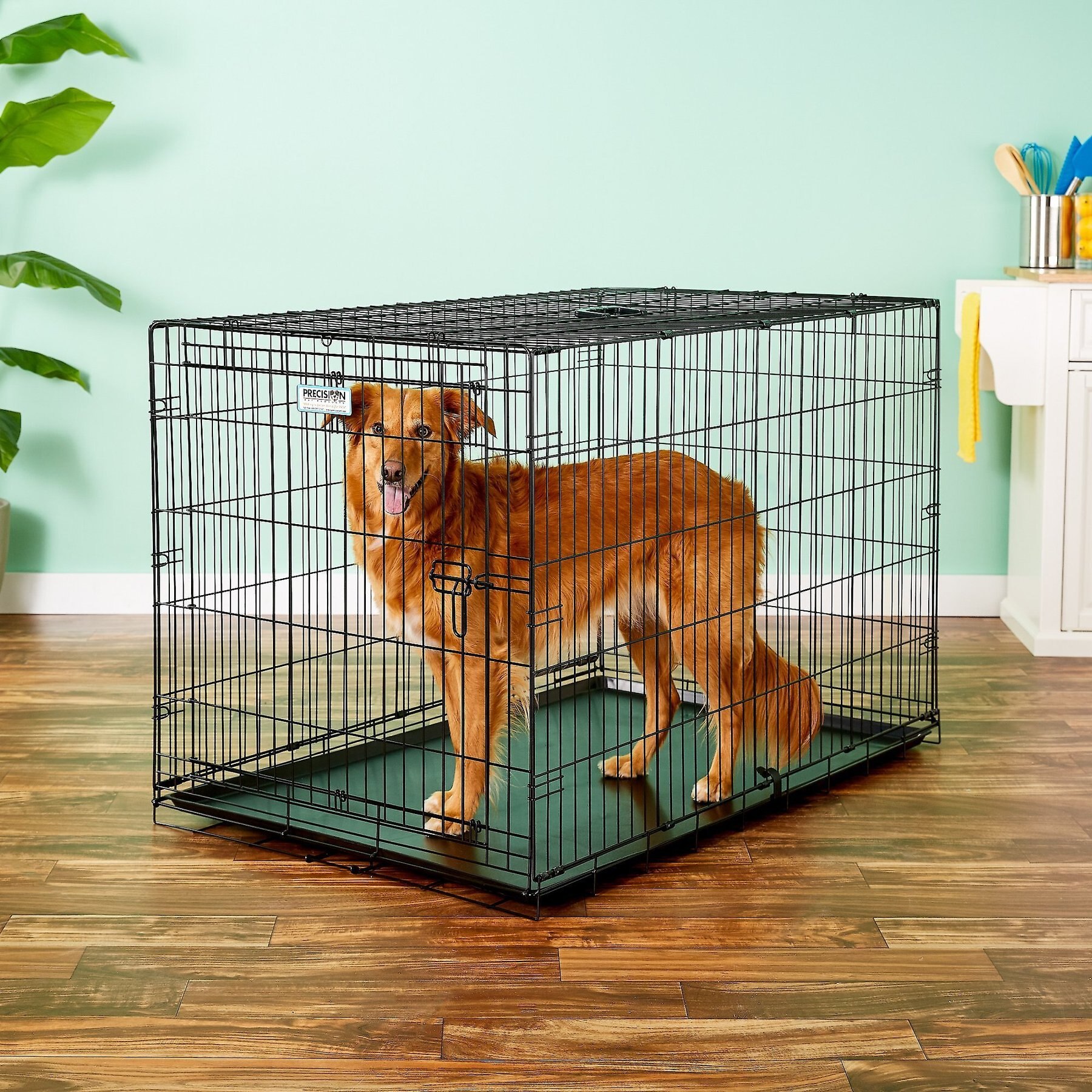 PRECISION PET PRODUCTS Provalu Single Door Collapsible Wire Dog Crate 42 inch Chewy