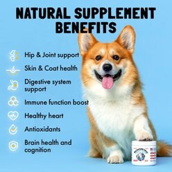Legitpet Probiotic Multivitamin Chicken Flavored Chew Supplement for Adult Dogs, 30 count slide 2 of 7