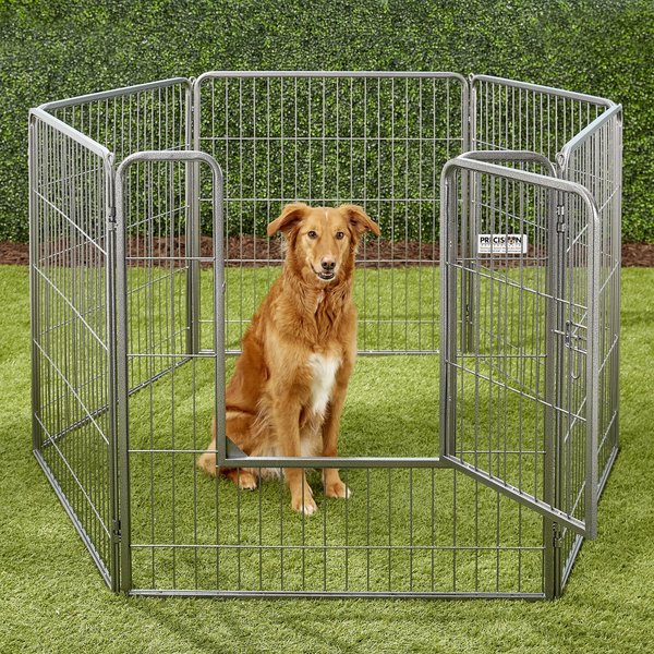 Precision Pet Products Courtyard Wire Dog Exercise Pen, 38-in slide 1 of 9