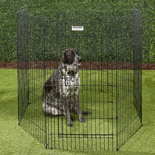 Precision pet products dog pen sale