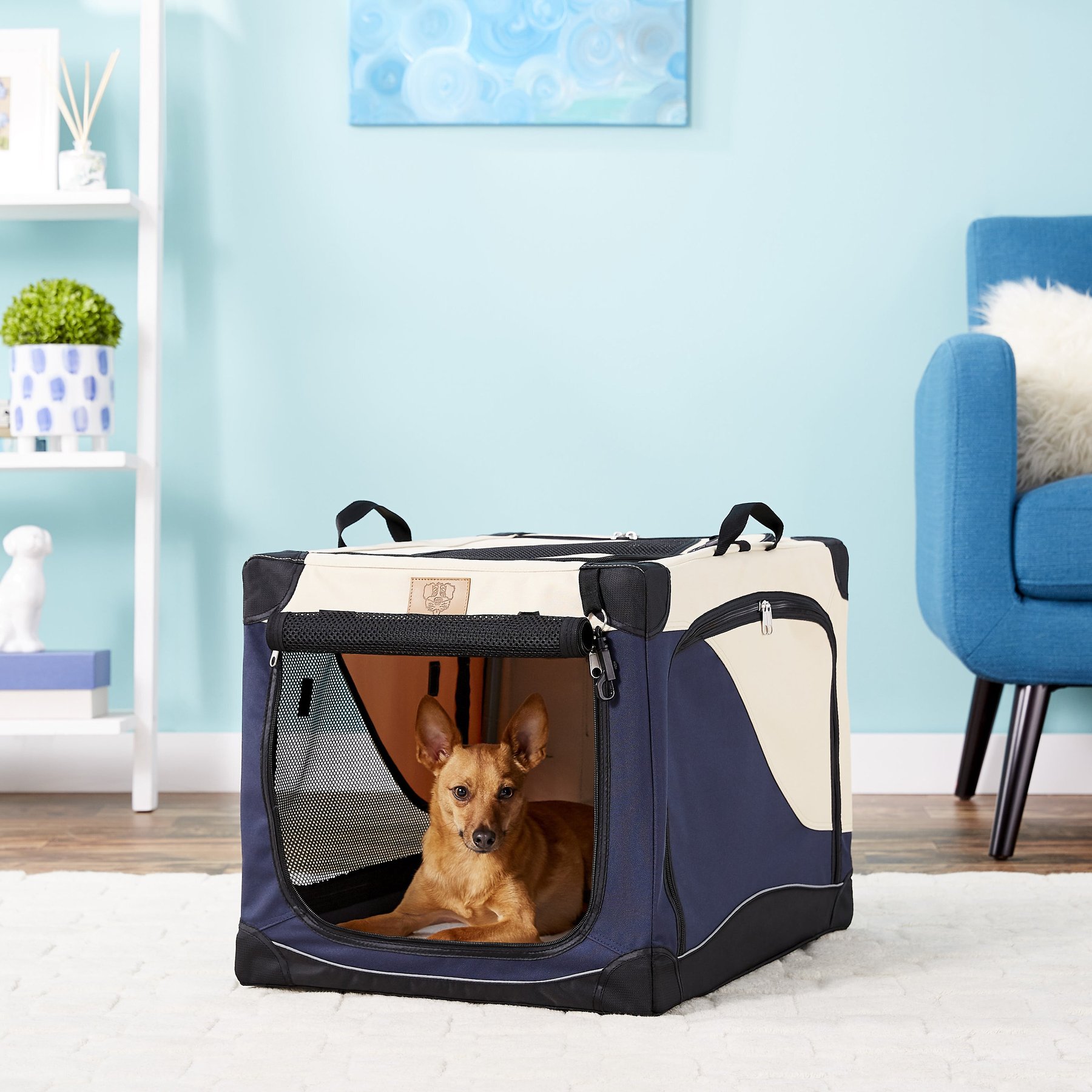 Jespet Indoor & Outdoor 3-Door Collapsible Soft-Sided Dog, Cat & Small Pet  Crate, Blue, 30
