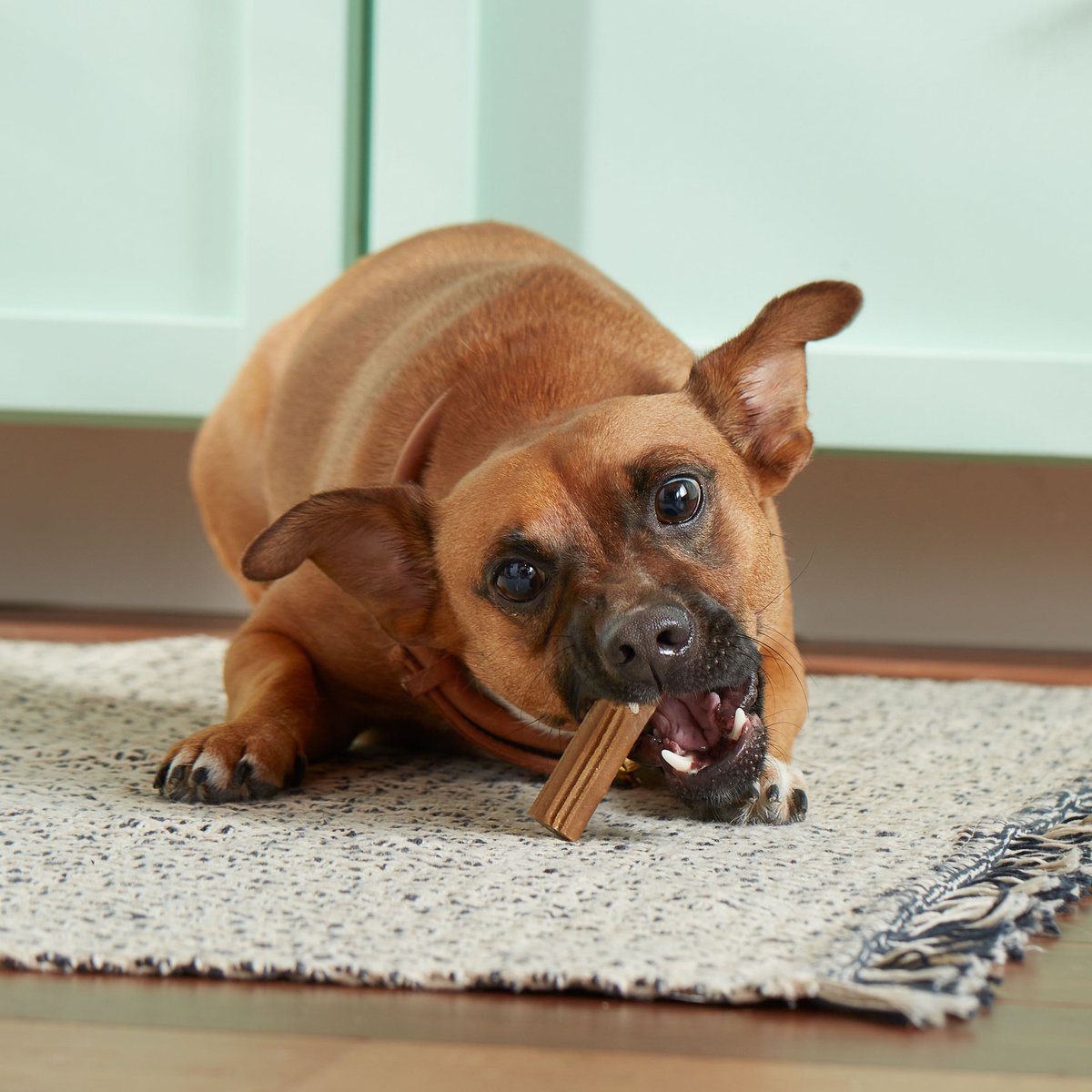 RACHAEL RAY NUTRISH Soup Bones Minis BreathFreshening Minty Dog Dental