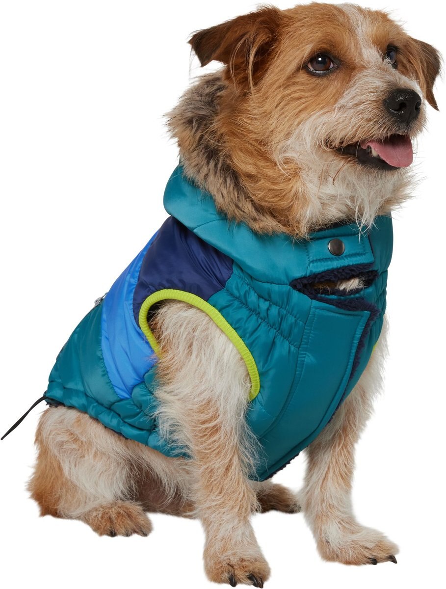 Frisco Heavy Weight Urban City Colorblock Dog & Cat Parka with Sherpa Lining
