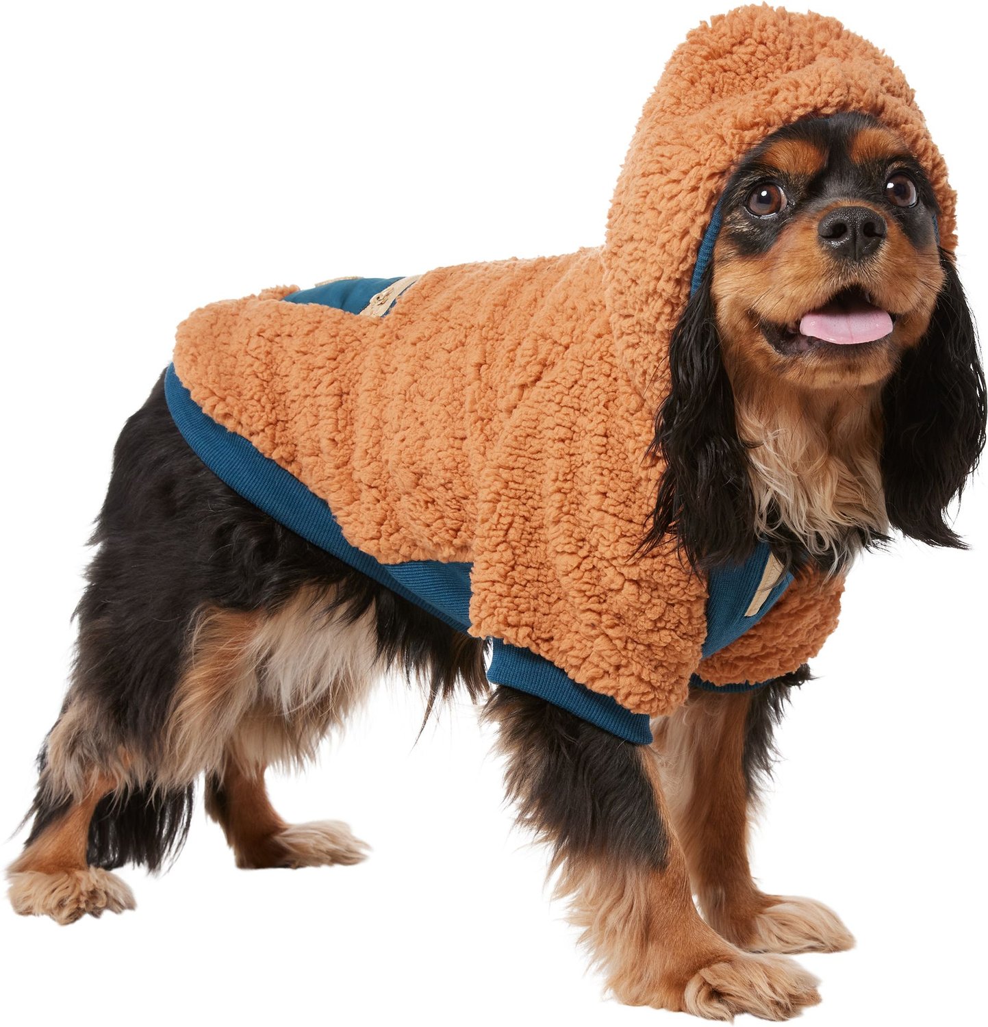 Fuzzy Textured Knit Dog Sweater, Turtle-neck, Blueberry Pet