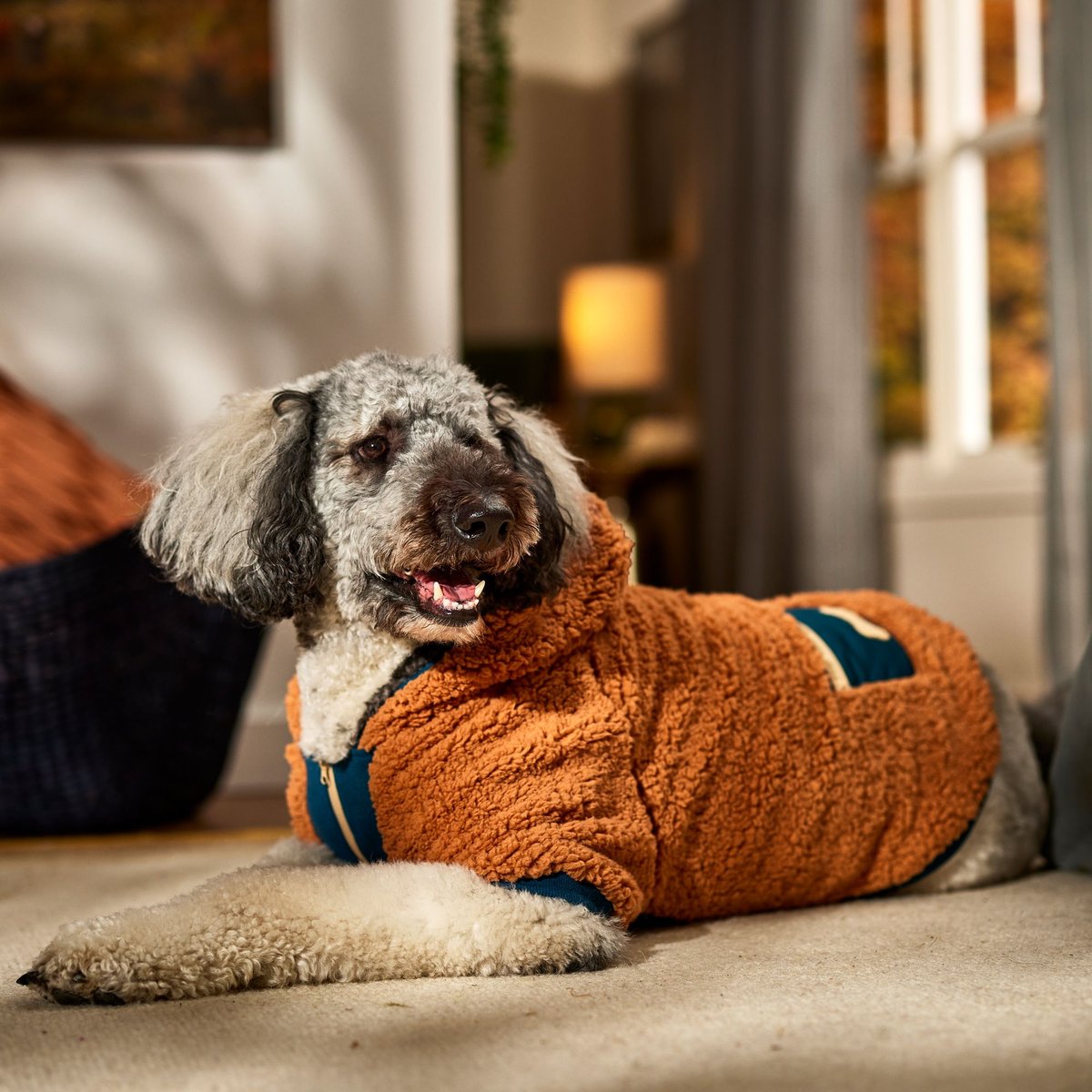 Chewy V Designer Dog Coat - Brown