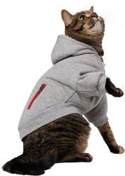 Frisco Sweatshirt Fleece w/ Sherpa Lining Dog & Cat Hoodie, Small