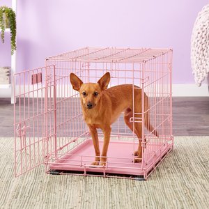 MidWest iCrate Single Door Collapsible Wire Dog Crate