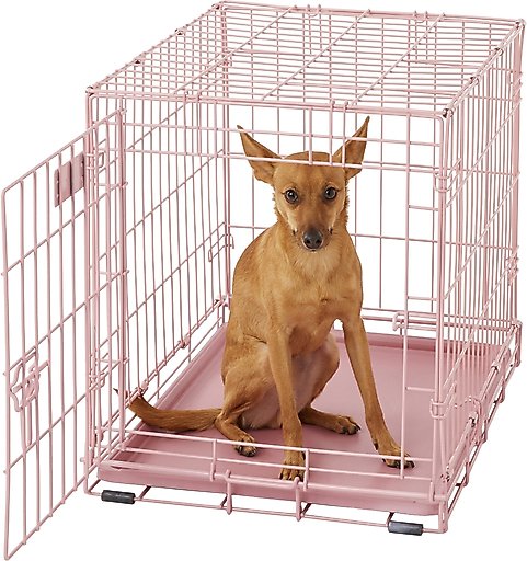 MidWest iCrate Single Door Collapsible Wire Dog Crate, Pink, 24 inch