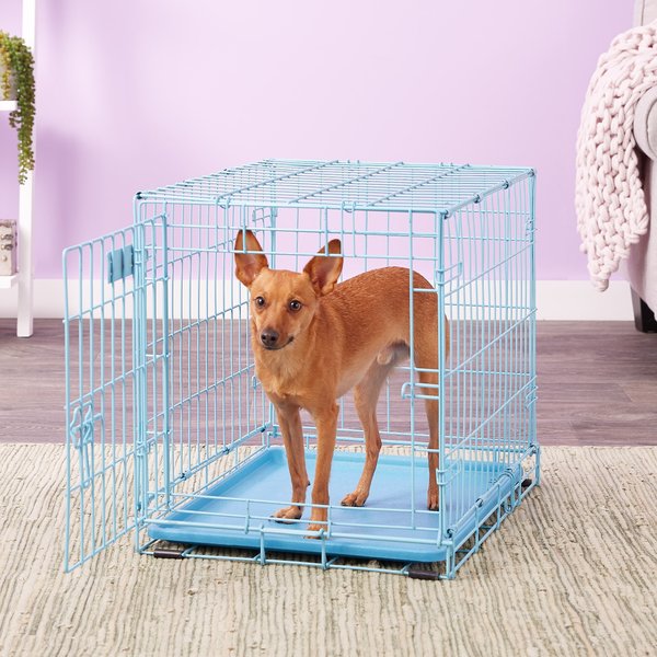 MidWest iCrate Single Door Collapsible Wire Dog Crate, Blue, 24 inch slide 1 of 11