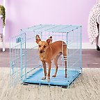 MidWest iCrate Single Door Collapsible Wire Dog Crate, Blue, 24 inch