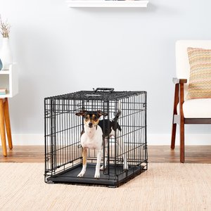MidWest Ovation Single Door Collapsible Wire Dog Crate, 24-in