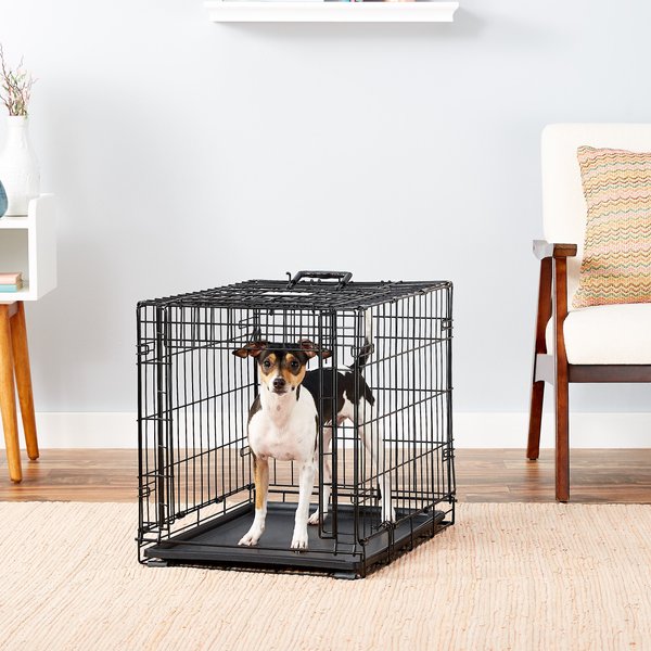 CARLSON PET PRODUCTS Secure & Compact Single Door Collapsible Wire Dog