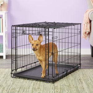 MidWest Ovation Single Door Collapsible Wire Dog Crate, 30 inch