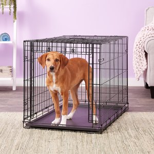 MidWest Ovation Single Door Collapsible Wire Dog Crate, 36-in