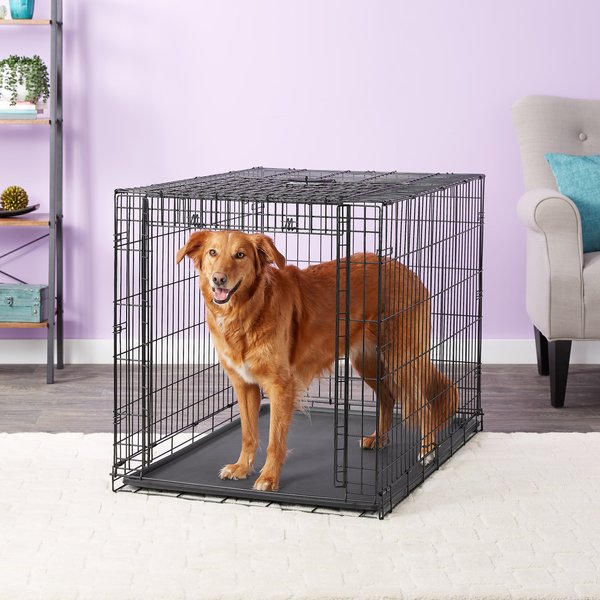 MidWest Ovation Single Door Collapsible Wire Dog Crate, 43 inch slide 1 of 10