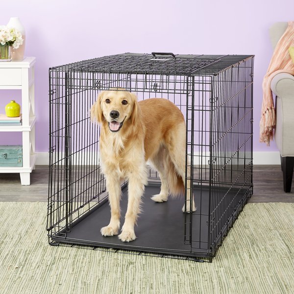 MidWest Ovation Single Door Collapsible Wire Dog Crate, 48 inch slide 1 of 10