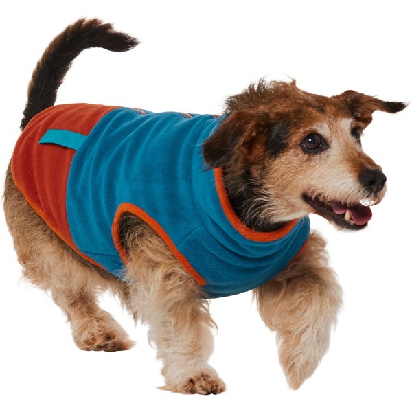 Ketsicart® Dog Outfit Clothes, Warm Pet Fish Costume Adjustable Skin  Friendly Fashionable for Medium Pet (M) : : Pet Supplies