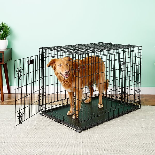 MIDWEST Ultima Pro Double Door Collapsible Wire Dog Crate, 36 inch