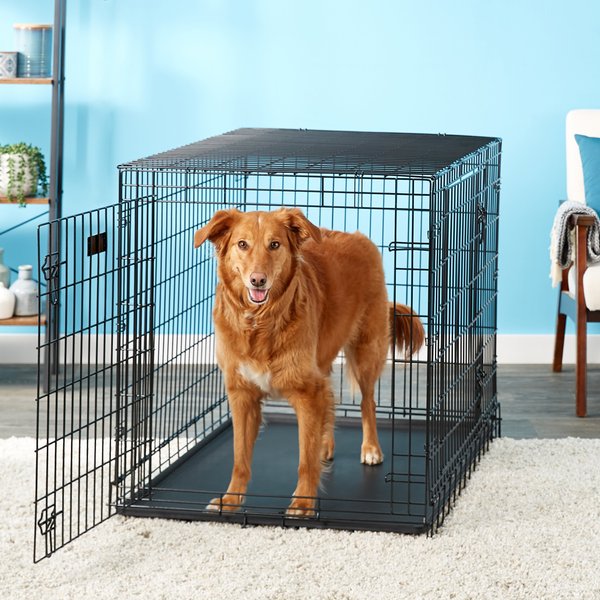 MIDWEST Ultima Pro Double Door Collapsible Wire Dog Crate, 42 inch
