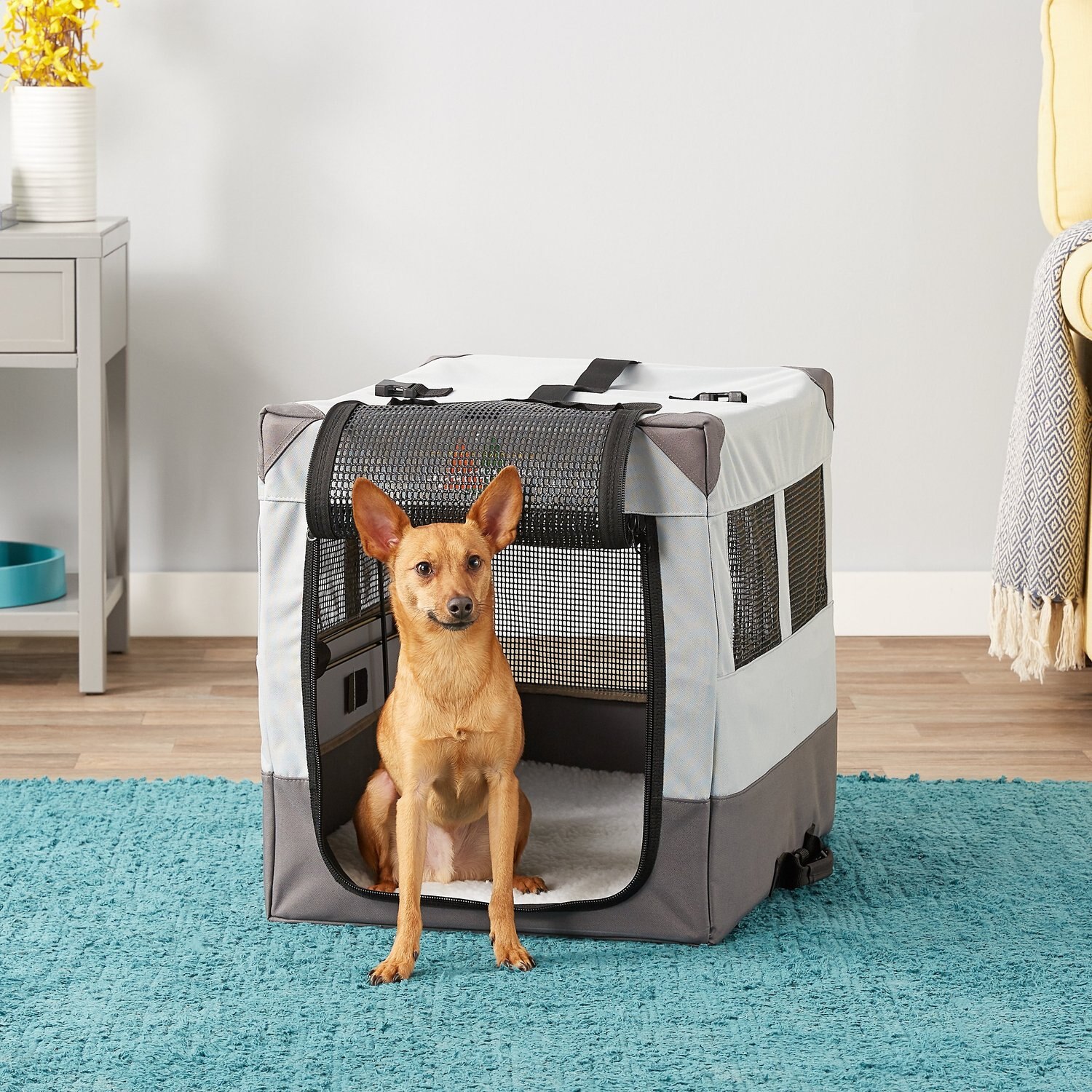 MIDWEST Canine Camper Single Door Collapsible Soft-Sided Dog Crate, 24 ...