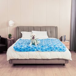 Allisandro Waterproof Furniture Protector Dog & Cat Sofa, Blue, Large slide 2 of 5
