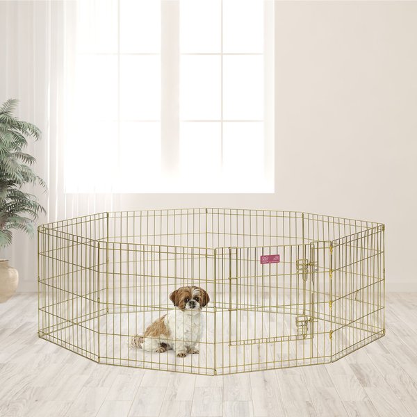 MidWest Wire Dog Exercise Pen with Step-Thru Door, Gold Zinc, 24-in slide 1 of 10