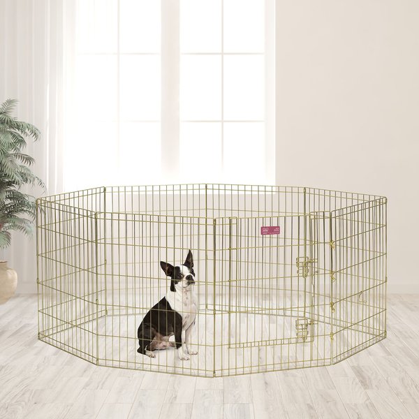MidWest Wire Dog Exercise Pen with Step-Thru Door, Gold Zinc, 30-in slide 1 of 10