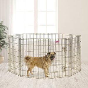 MidWest Wire Dog Exercise Pen with Step-Thru Door, Gold Zinc, 36-in