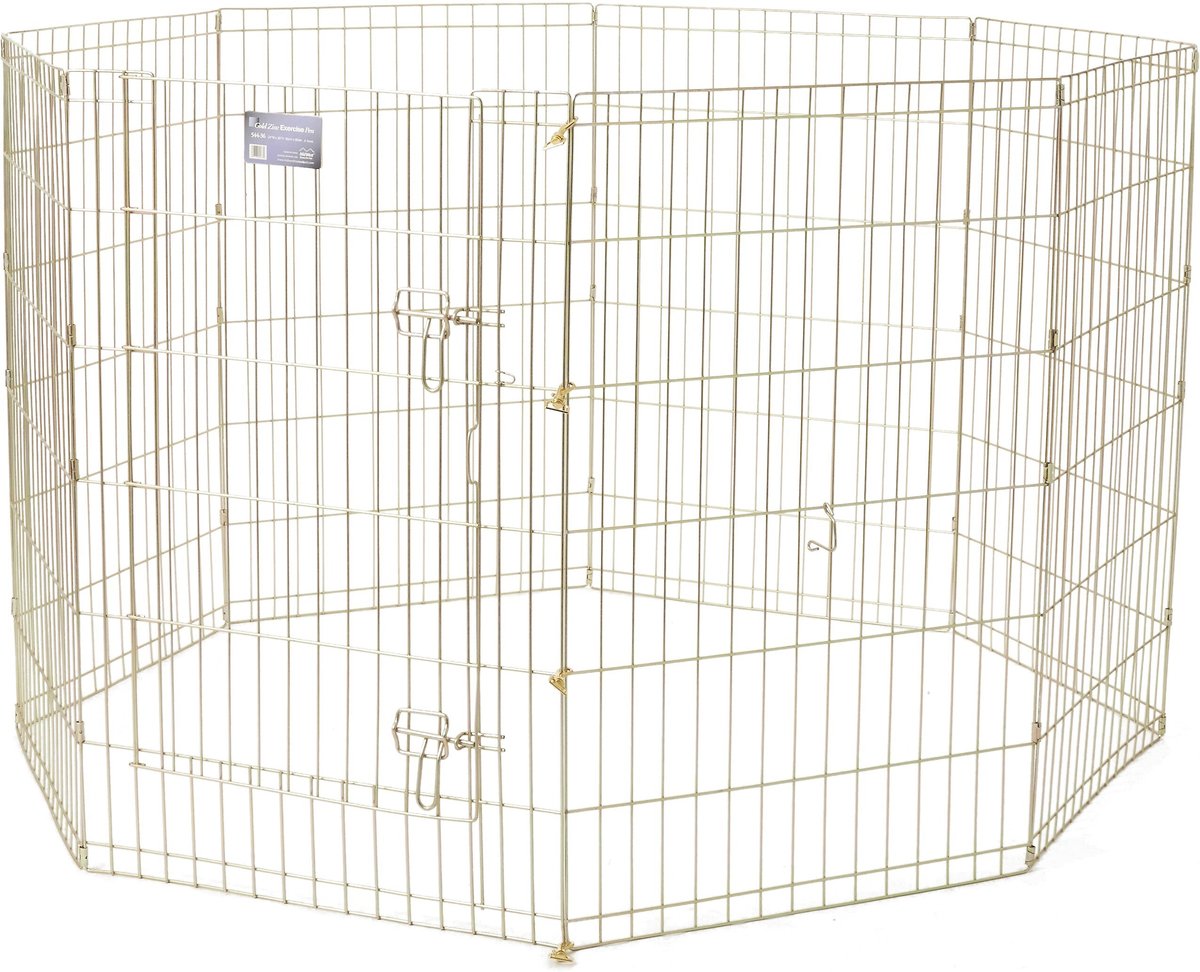 MIDWEST Wire Dog Exercise Pen with StepThru Door, Gold Zinc, 36in