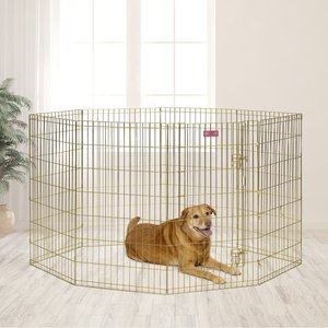 MidWest Wire Dog Exercise Pen with Step-Thru Door, Gold Zinc, 42-in