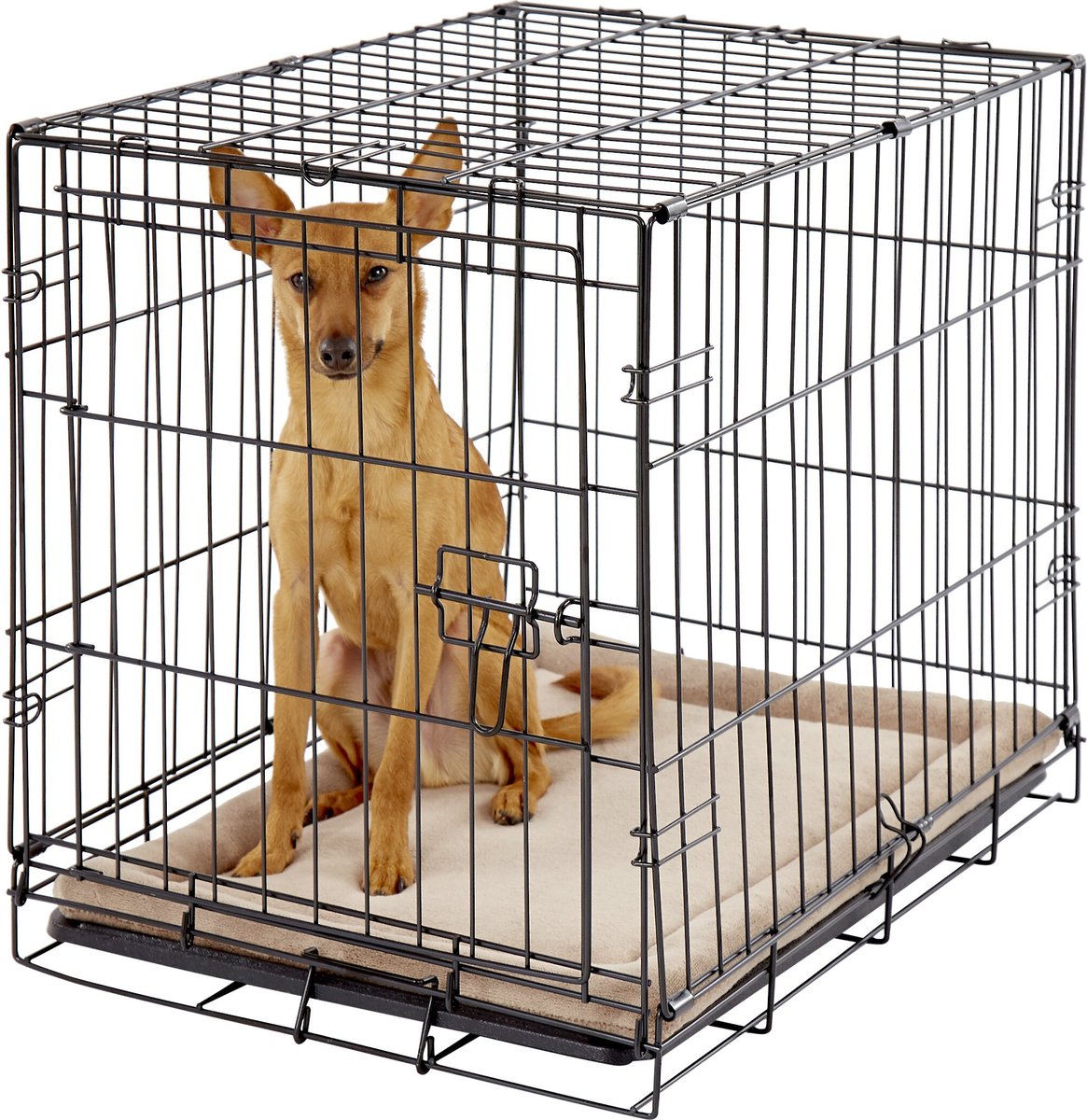 MIDWEST Quiet Time Deluxe Micro Terry Dog Crate Mat, 24in