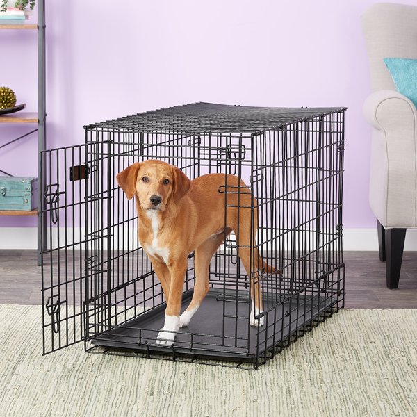 MidWest Solutions Series Side by Side Double Door Collapsible SUV Dog Crate, 36 inch slide 1 of 8